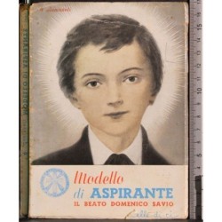 Modello di aspirante. Il beato Domenico Savio