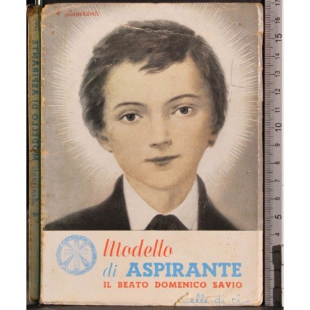 Modello di aspirante. Il beato Domenico Savio