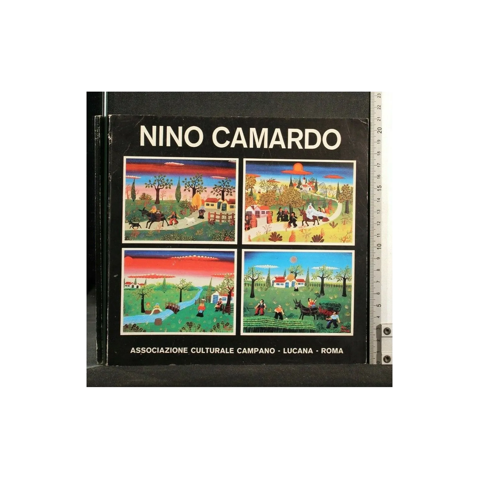 NINO CAMARDO