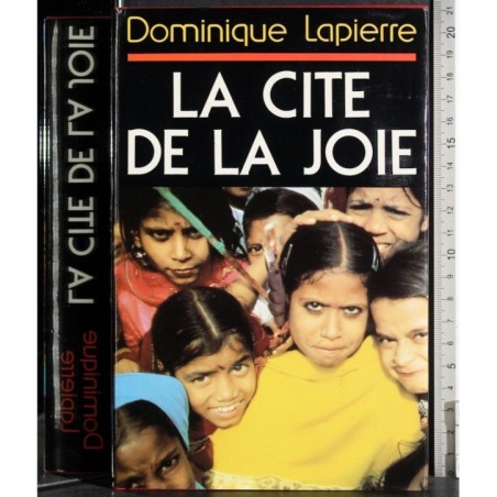 La cite de la joie