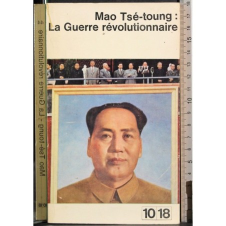 La guerre revolutionnaire