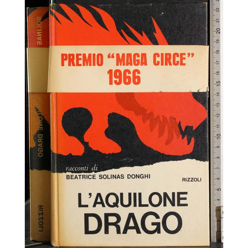 L'aquilone drago