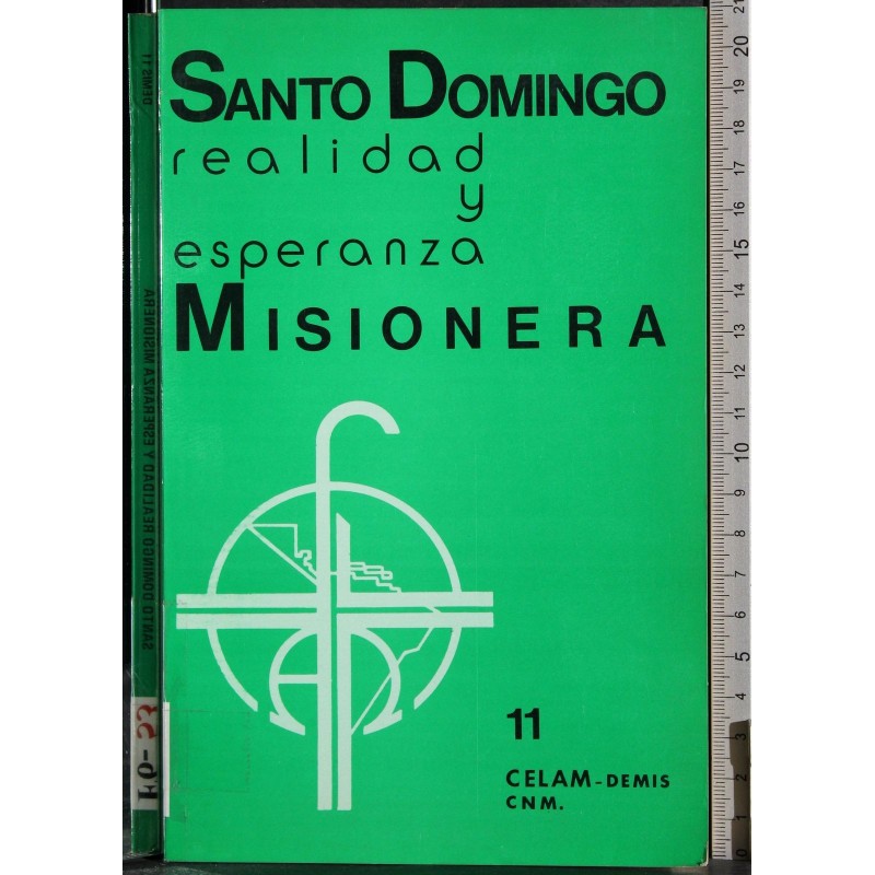 Santo Domingo: realidad y esperanza misionera..
