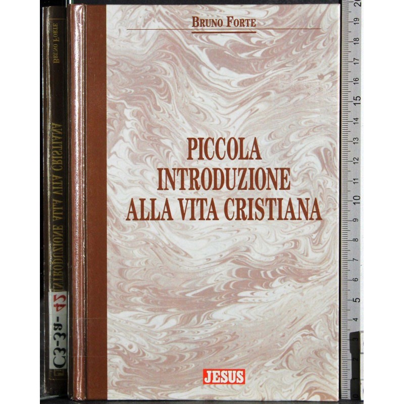 Piccola introduzione alla vita cristiana