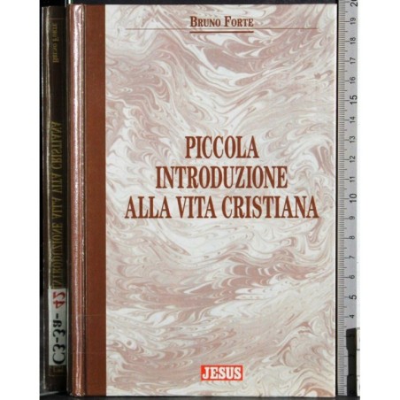 Piccola introduzione alla vita cristiana