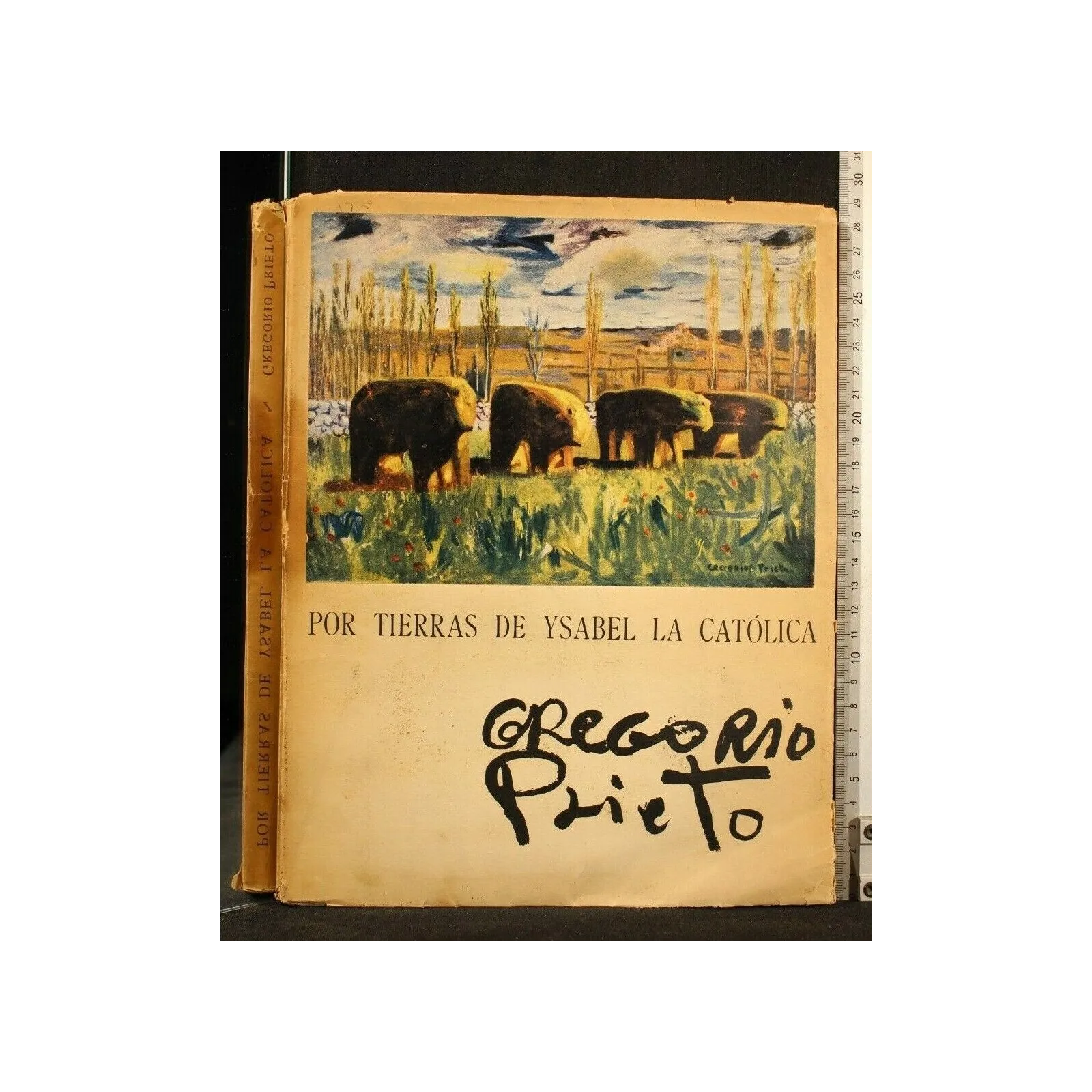 POR TIERRAS DE YSABEL LA CATOLICA