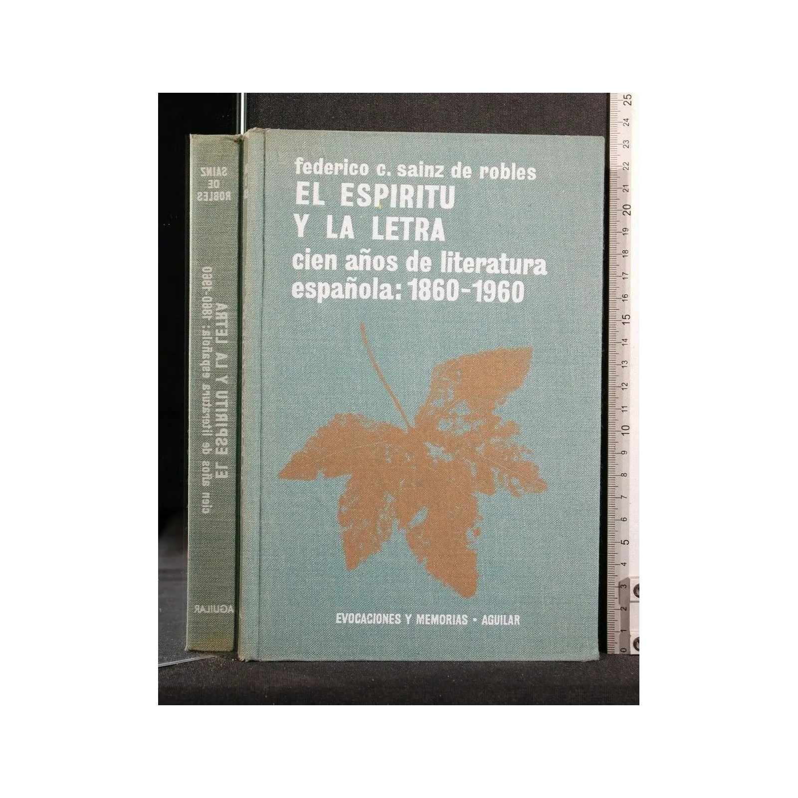 EL ESPIRITU Y LA LETRA