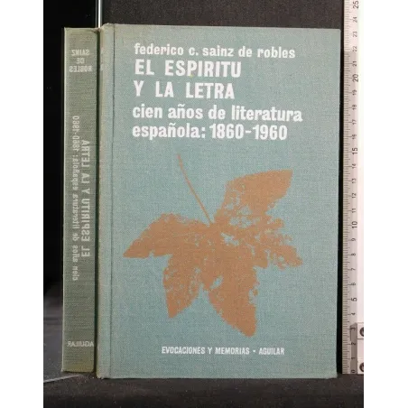 EL ESPIRITU Y LA LETRA