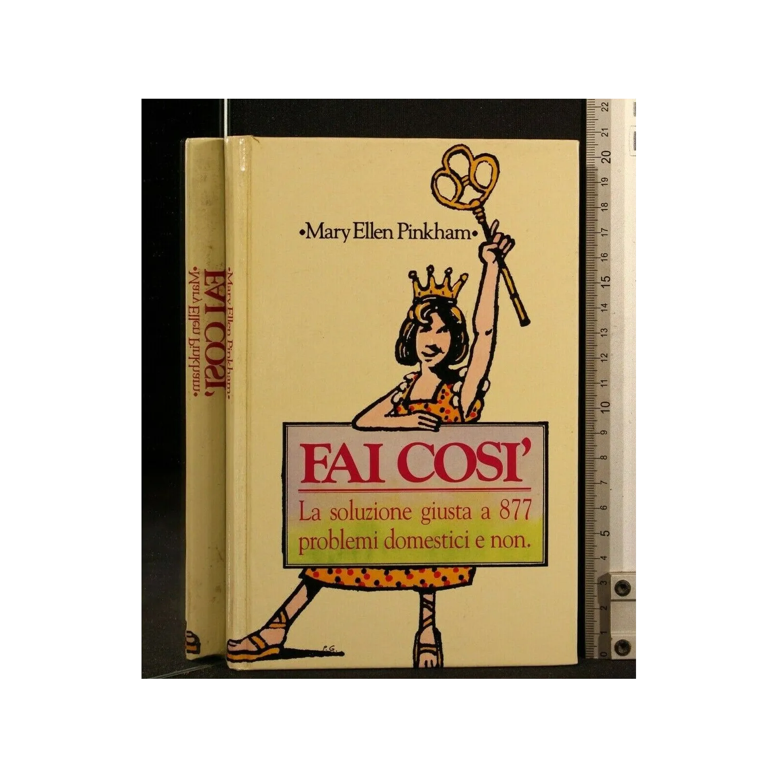 FAI COSI' LA SOLUZIONE GIUSTA A 877 PROBLEMI DOMESTICI E NON