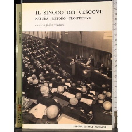 Il sinodo dei vescovi