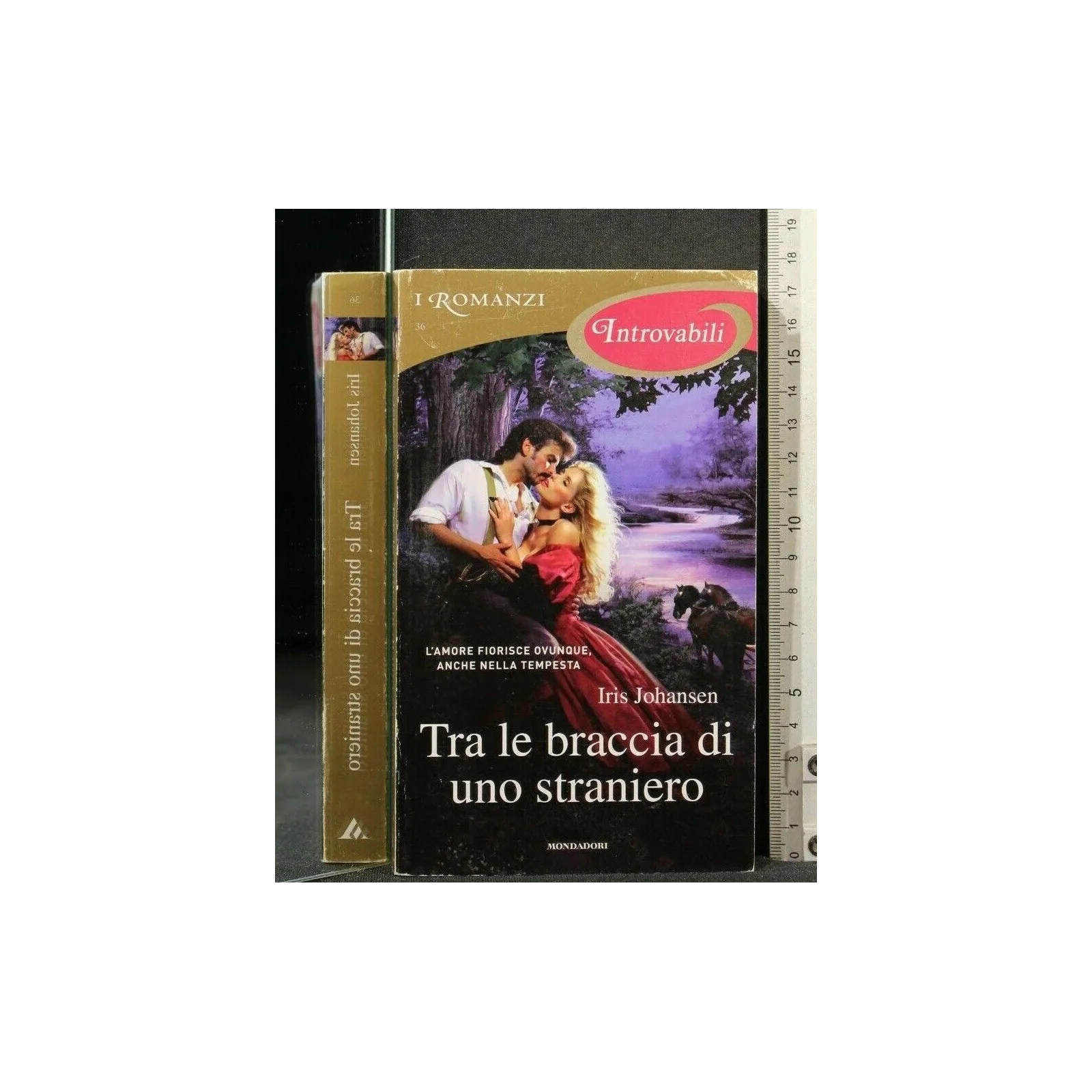 TRA LE BRACCIA DI UNO STRANIERO