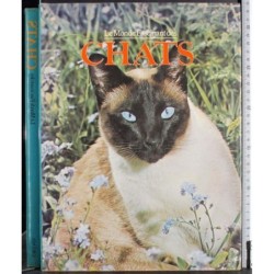 Le monde fascinante des chats