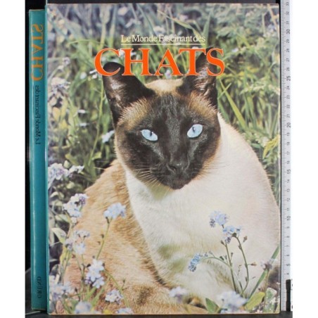 Le monde fascinante des chats