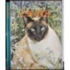 Le monde fascinante des chats