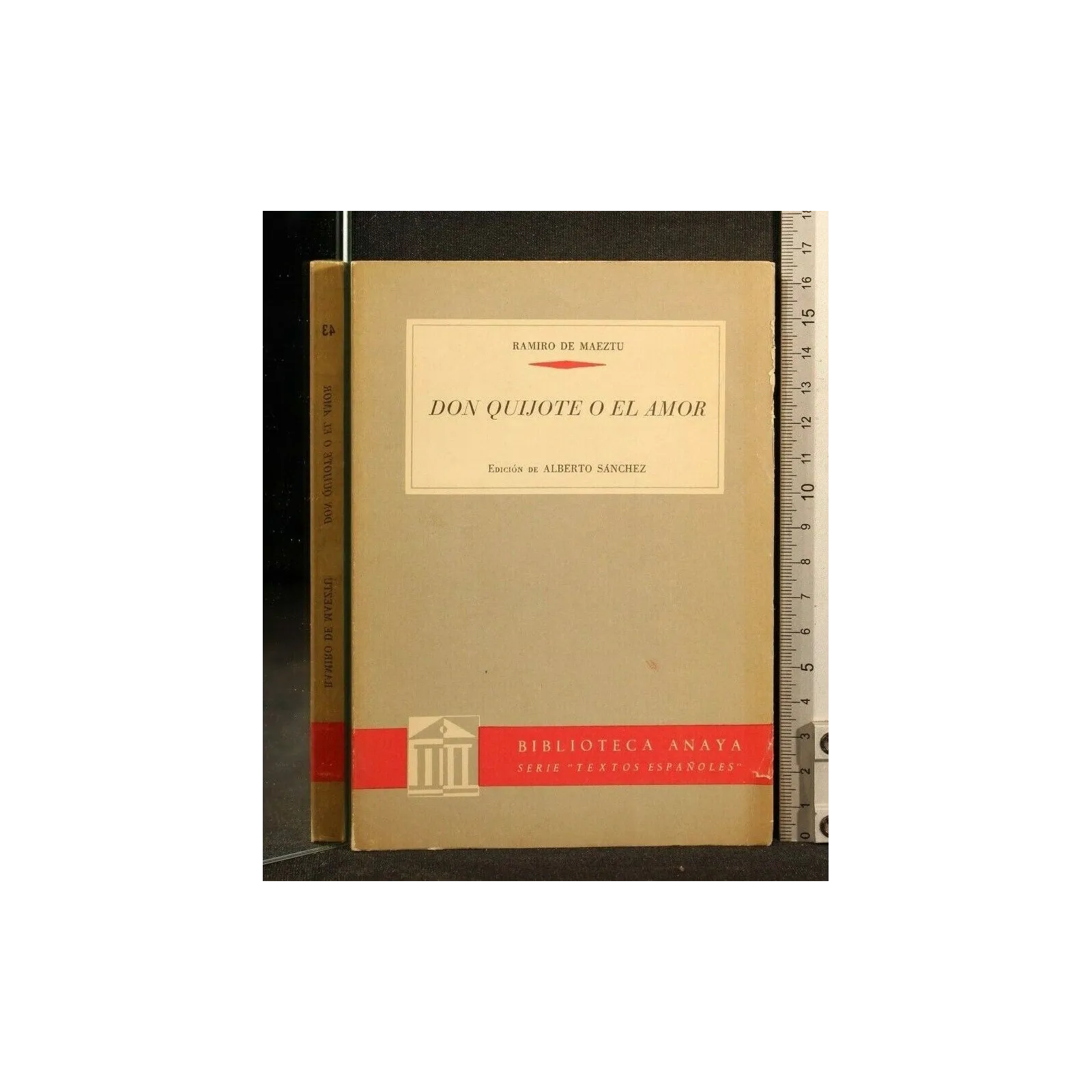 DON QUIJOTE O EL AMOR