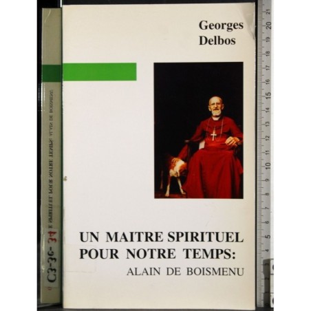 Maitre spirituel pour notre temps: Alain de Boismenu