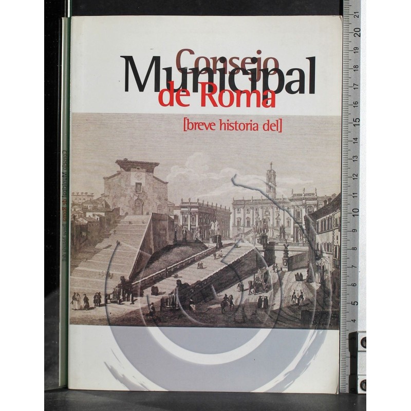 Consejo Municipal de Roma