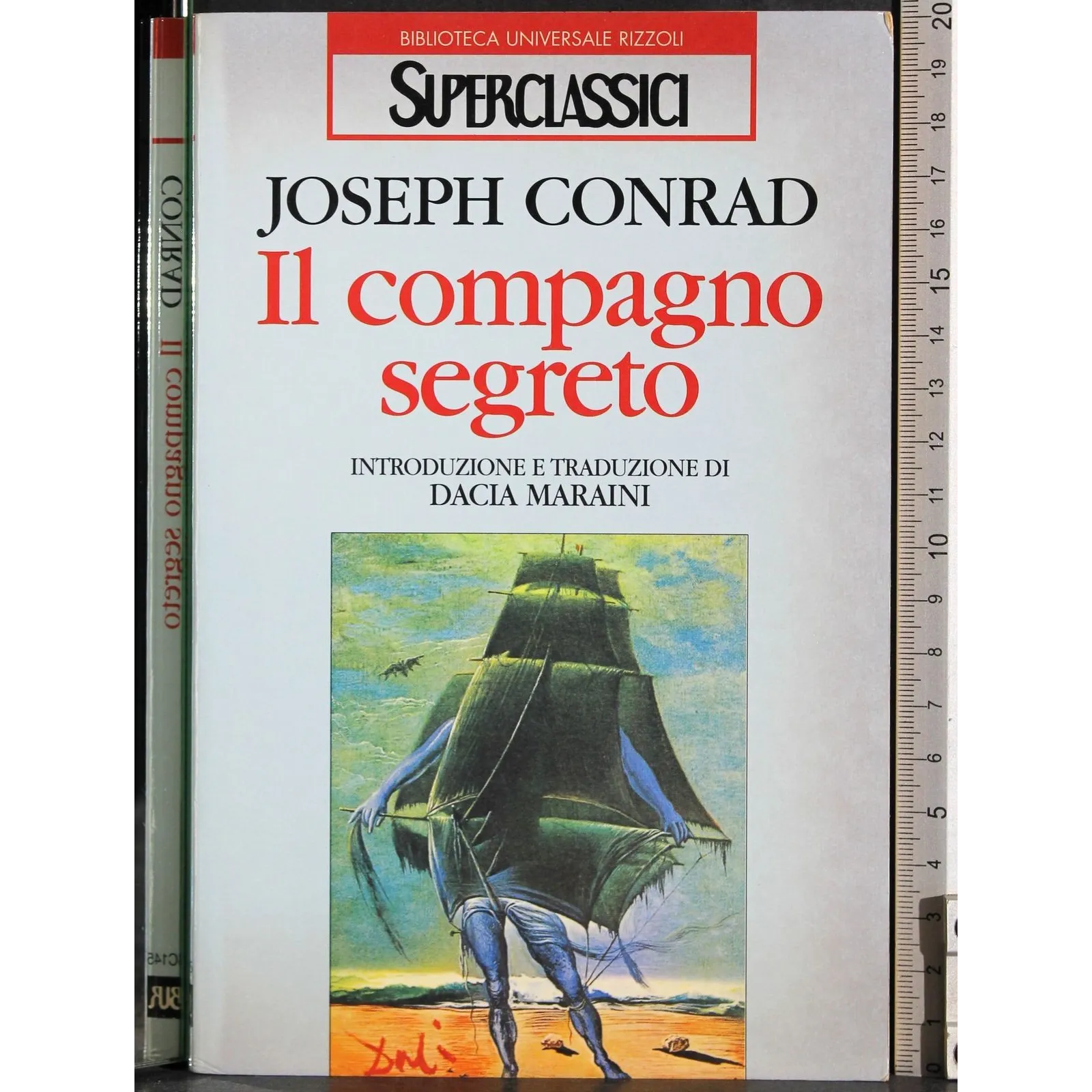 Il compagno segreto
