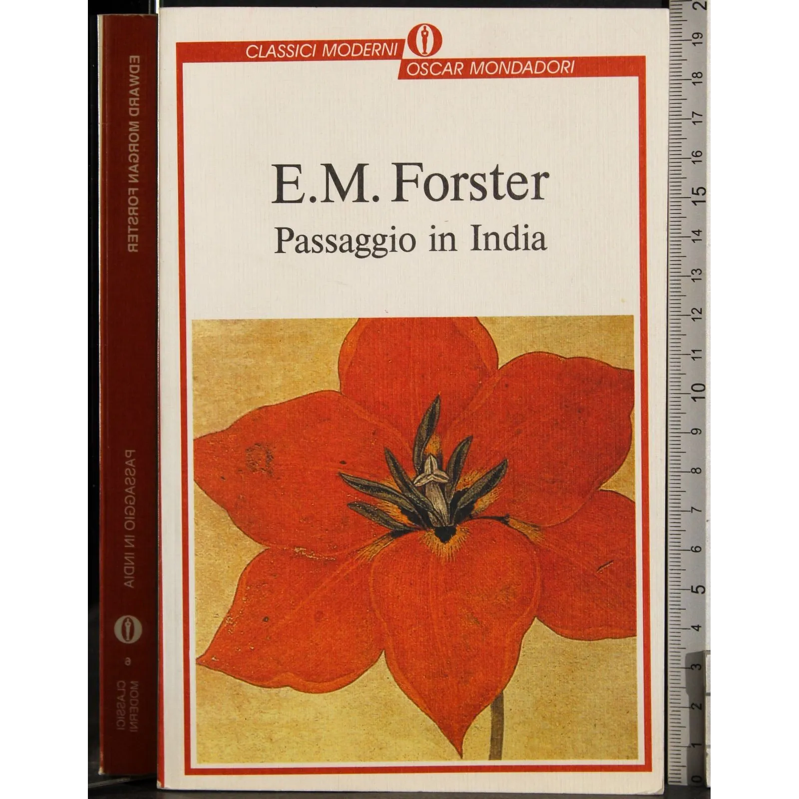Passaggio in India