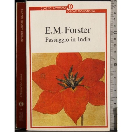 Passaggio in India