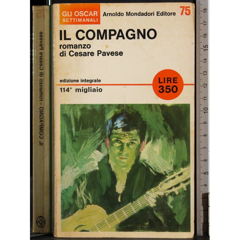 Il compagno