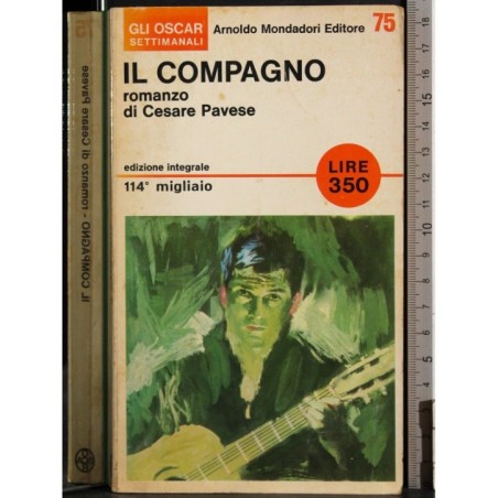 Il compagno