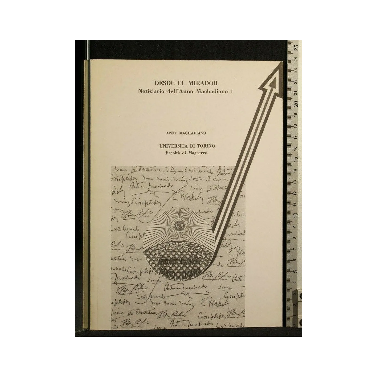 DESDE EL MIRADOR NOTIZIARIO DELL'ANNO MACHADIANO 1