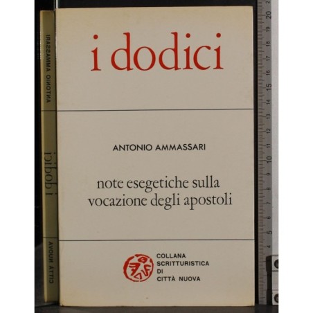 I dodici