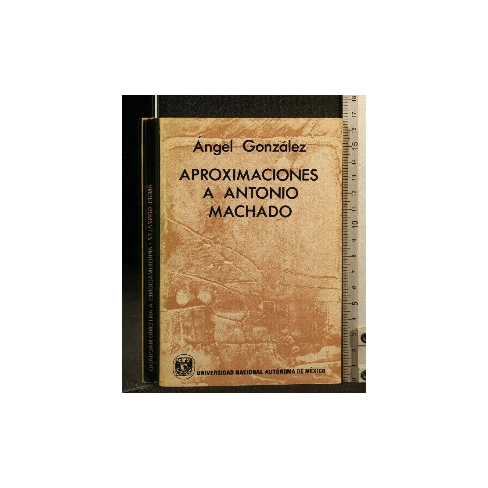 APROXIMACIONES A ANTONIO MACHADO