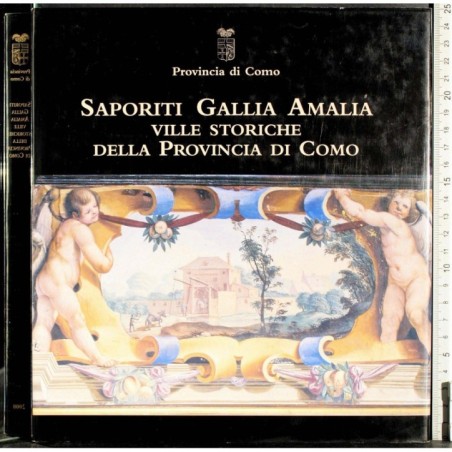 Saporiti Gallia Amalia. Ville storiche Provincia di Como