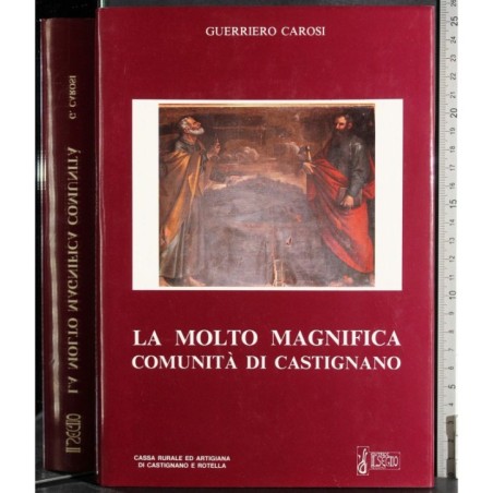 La molto magnifica comunità di Castigliano