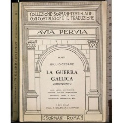 Avia Pervia 85. La Guerra gallica Vol 5