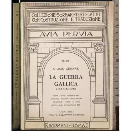 Avia Pervia 85. La Guerra gallica Vol 5