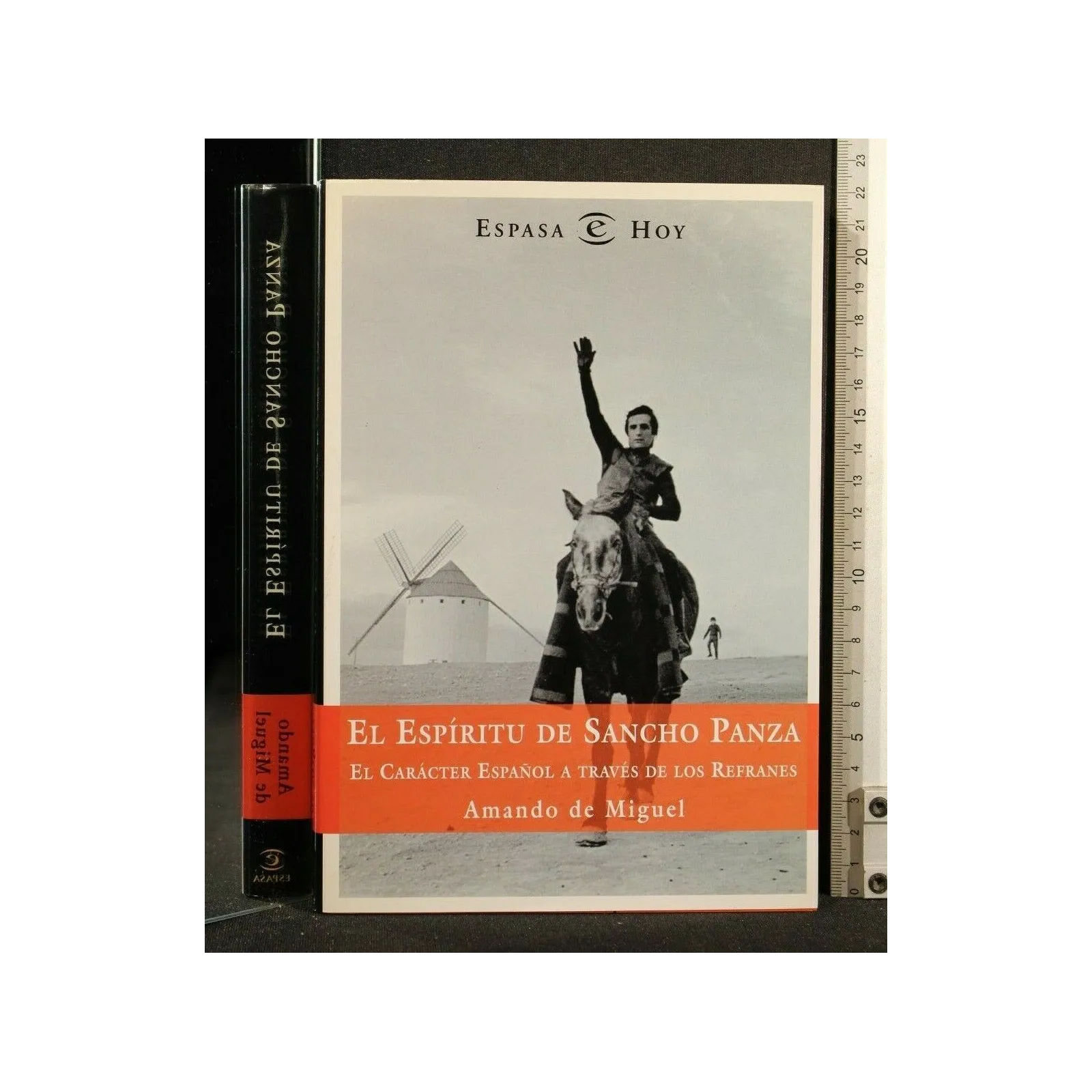 EL ESPIRITU DE SANCHO PANZA