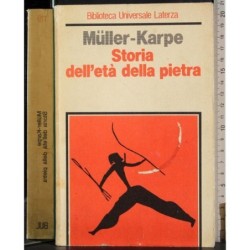 Storia dell'età della pietra