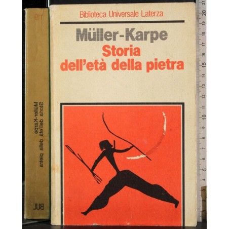 Storia dell'età della pietra