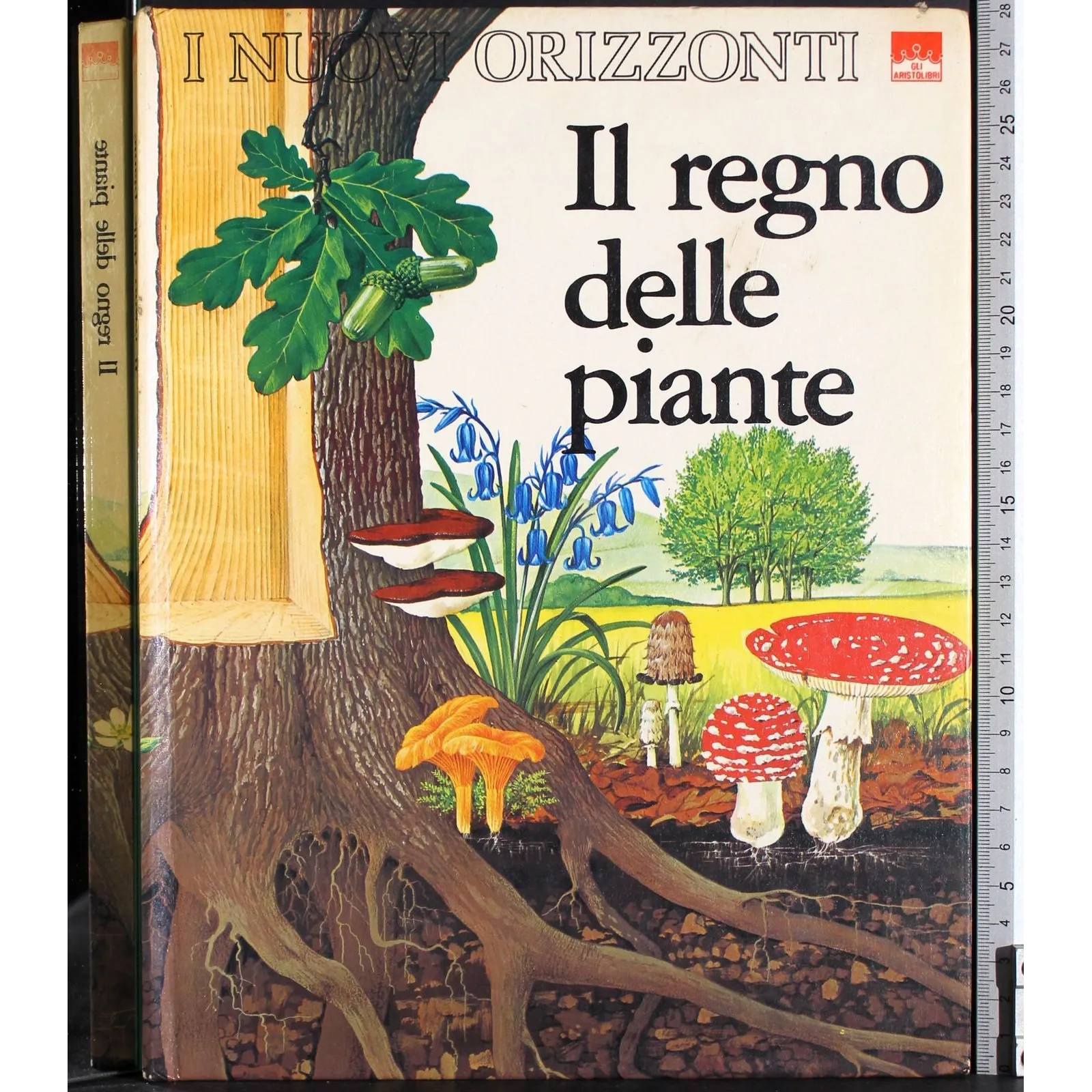 I nuovi orizzonti. Il regno delle piante