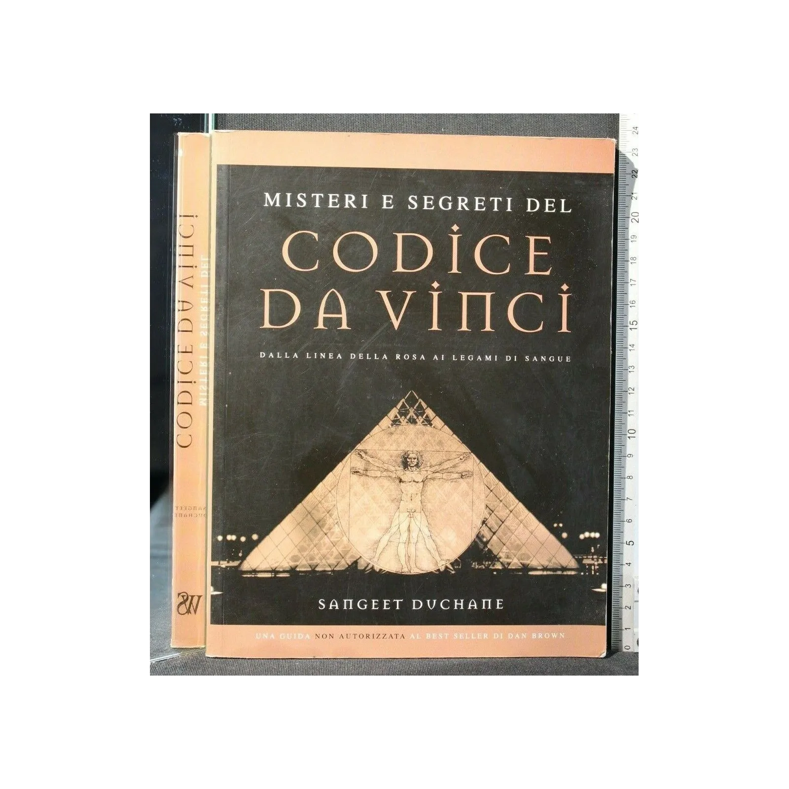 MISTERI E SEGRETI DEL CODICE DA VINCI DALLA LINEA DELLA ROSA AI