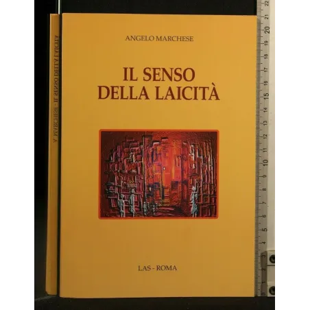 IL SENSO DELLA LAICITA'