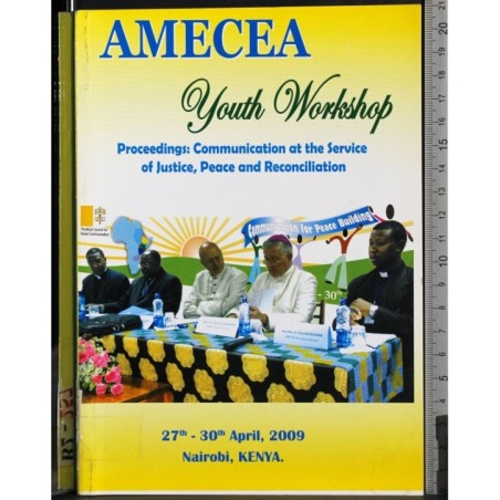 Amecea. Youth Workshop
