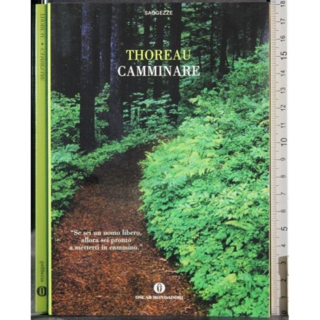 Camminare