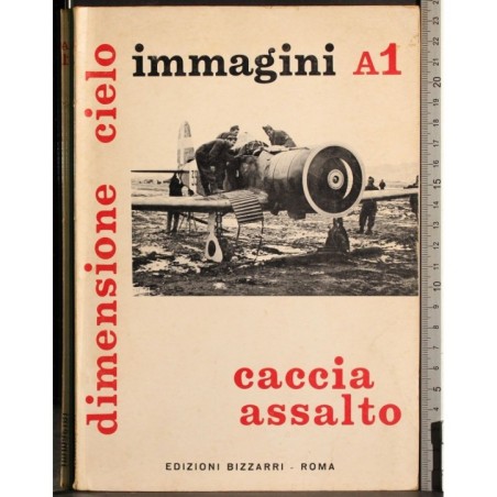 Dimensione cielo. Immagini A1. Caccia assalto