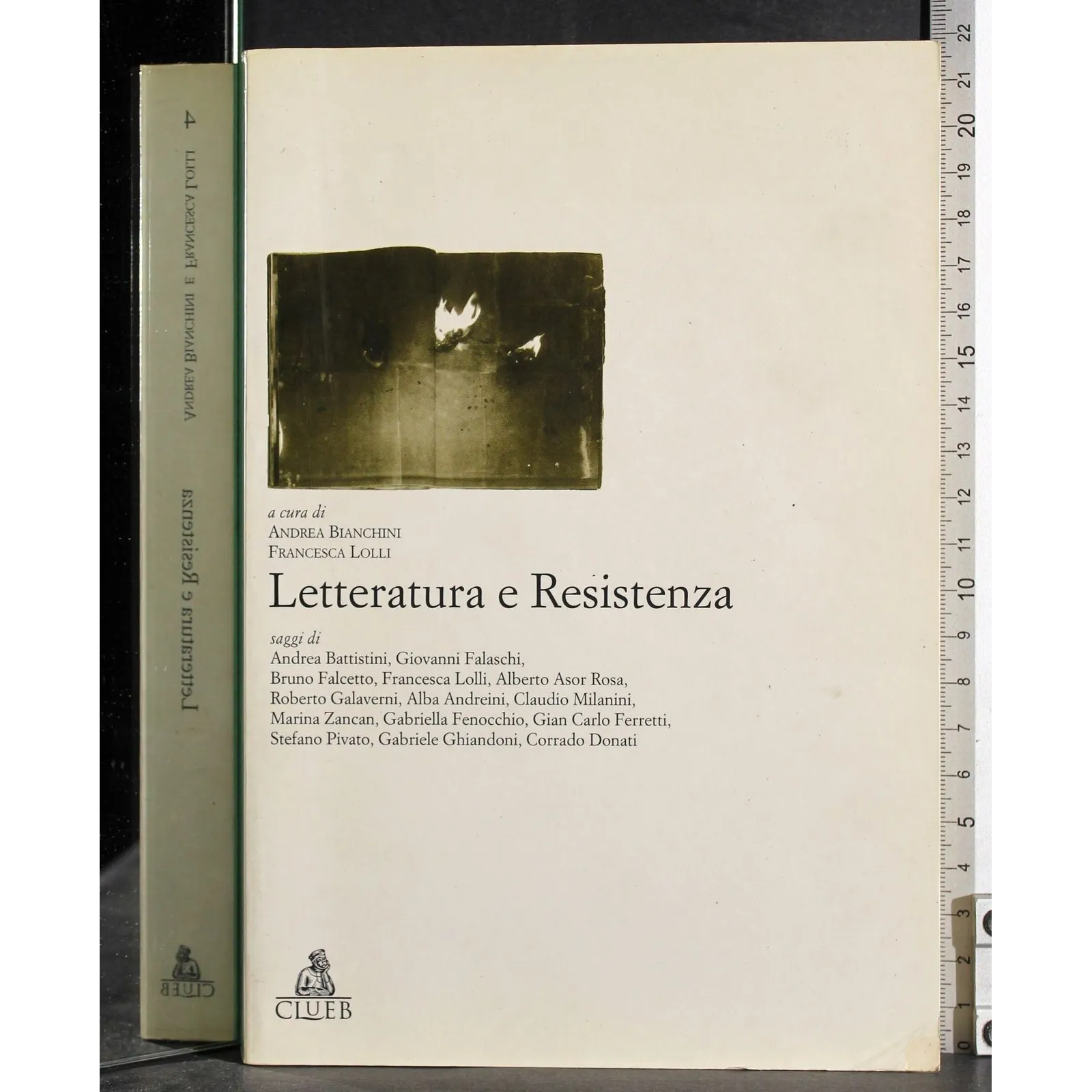 Letteratura e Resistenza