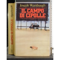 Il campo di cipolle