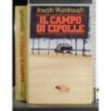 Il campo di cipolle