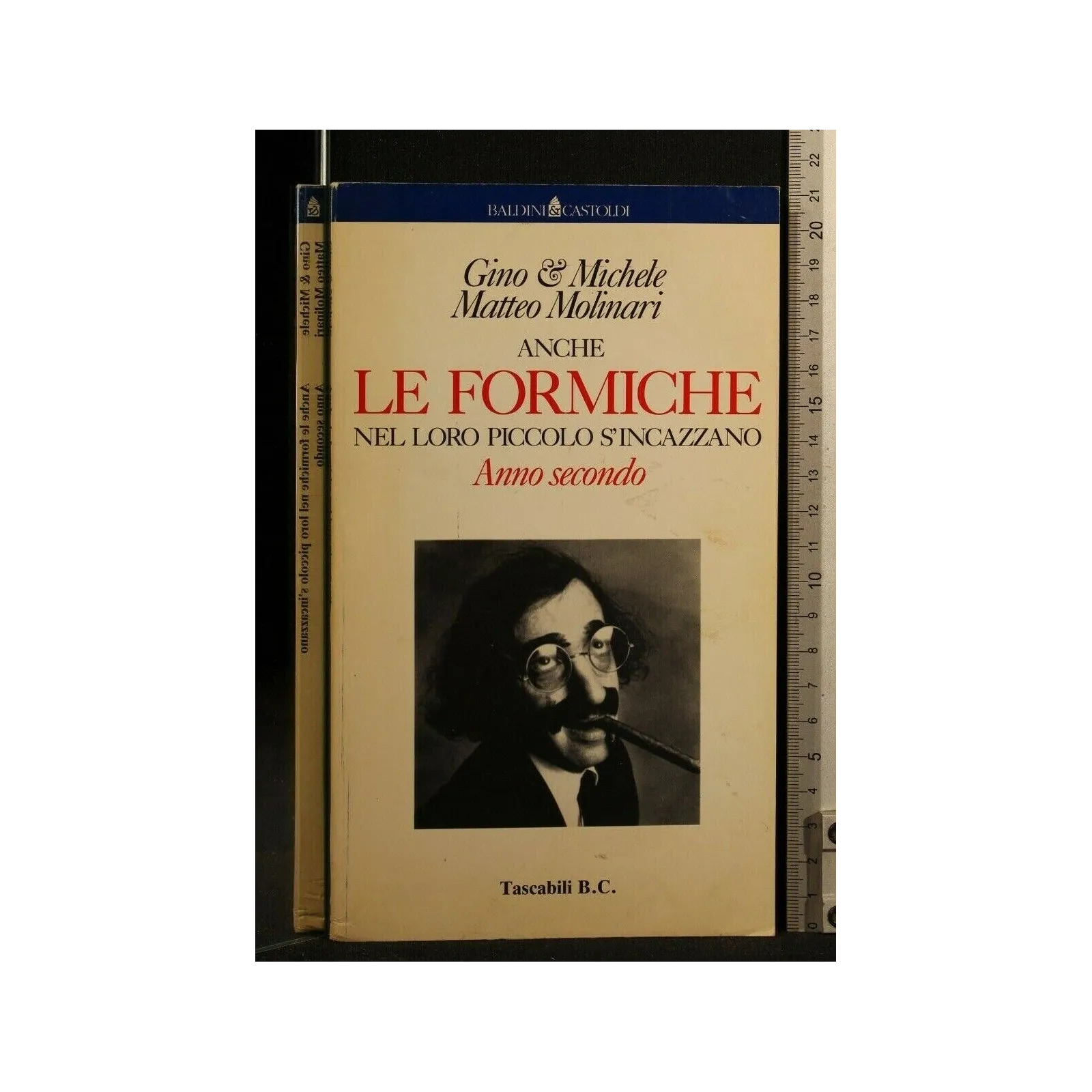 ANCHE LE FORMICHE NEL LORO PICCOLO S'INCAZZANO