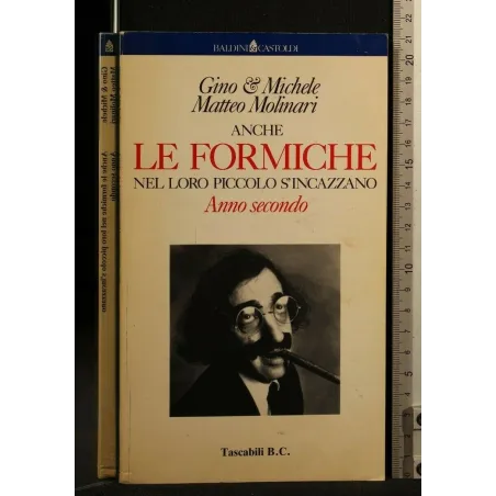 ANCHE LE FORMICHE NEL LORO PICCOLO S'INCAZZANO