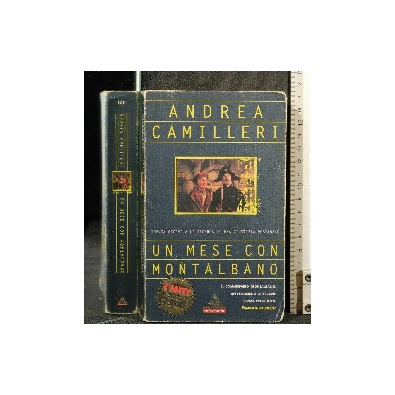 UN MESE CON MONTALBANO