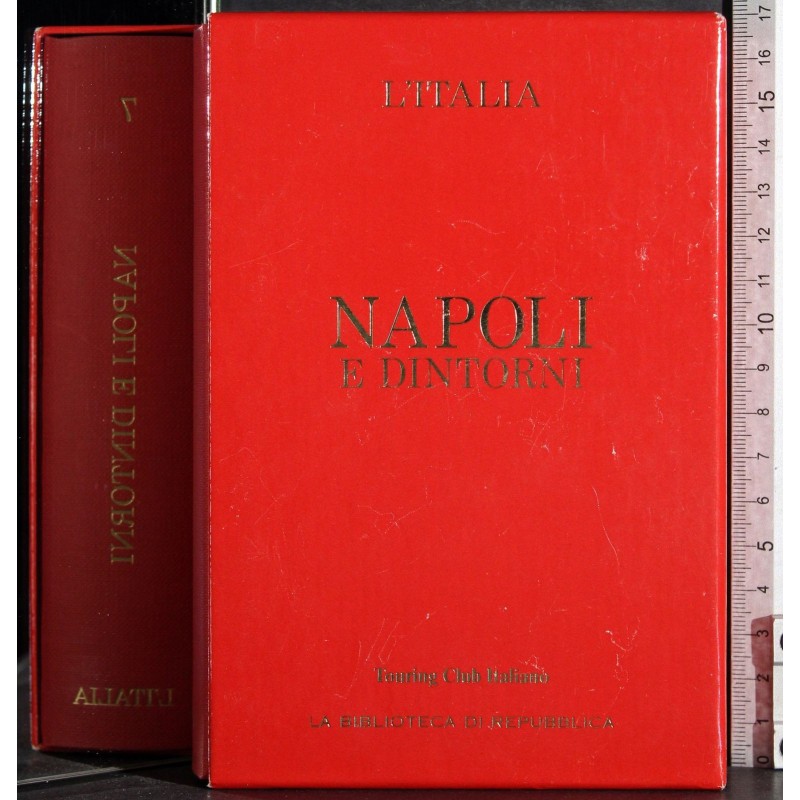 L'Italia. Napoli e dintorni