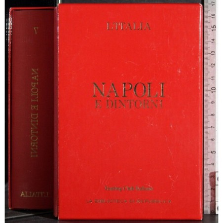 L'Italia. Napoli e dintorni